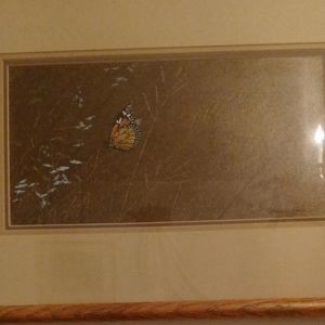 Vintage Framed Pressed Butterflie 17L 12H  I do n